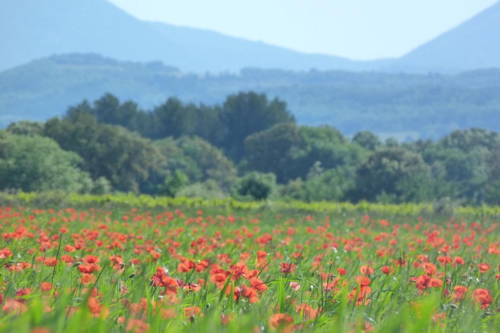 Lodges En Provence - Ecogites & Restaurant Insolites Richerenches Екстер'єр фото